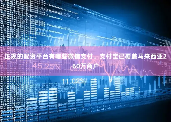 正规的配资平台有哪些微信支付、支付宝已覆盖马来西亚260万商户