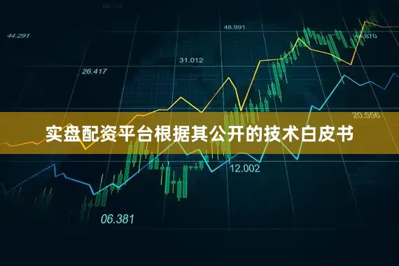 实盘配资平台根据其公开的技术白皮书